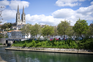 Enlèvement arbre urgence Niort